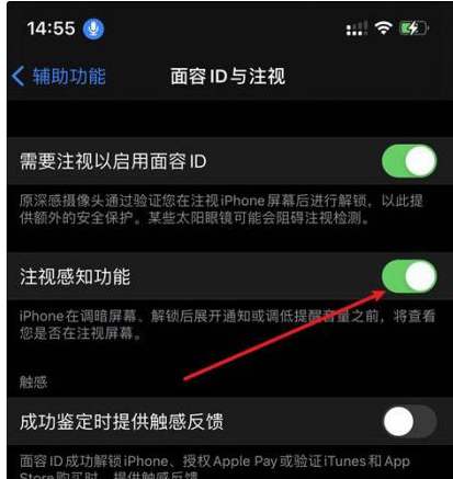 隆昌苹果14维修网点分享iPhone14注视感知功能有什么用 