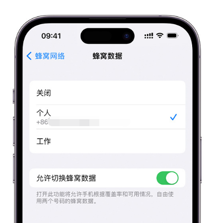 隆昌苹果维修服务分享如何在iPhone上使用双卡 